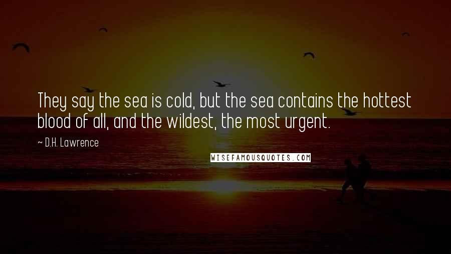 D.H. Lawrence Quotes: They say the sea is cold, but the sea contains the hottest blood of all, and the wildest, the most urgent.