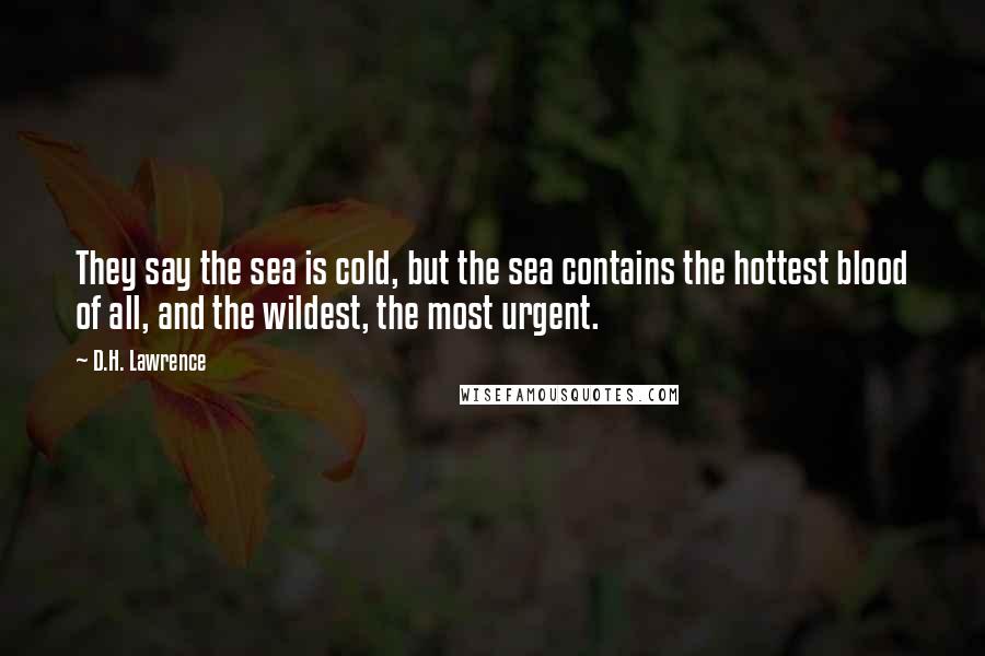 D.H. Lawrence Quotes: They say the sea is cold, but the sea contains the hottest blood of all, and the wildest, the most urgent.