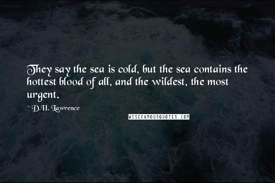 D.H. Lawrence Quotes: They say the sea is cold, but the sea contains the hottest blood of all, and the wildest, the most urgent.