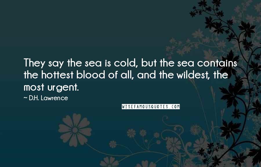 D.H. Lawrence Quotes: They say the sea is cold, but the sea contains the hottest blood of all, and the wildest, the most urgent.