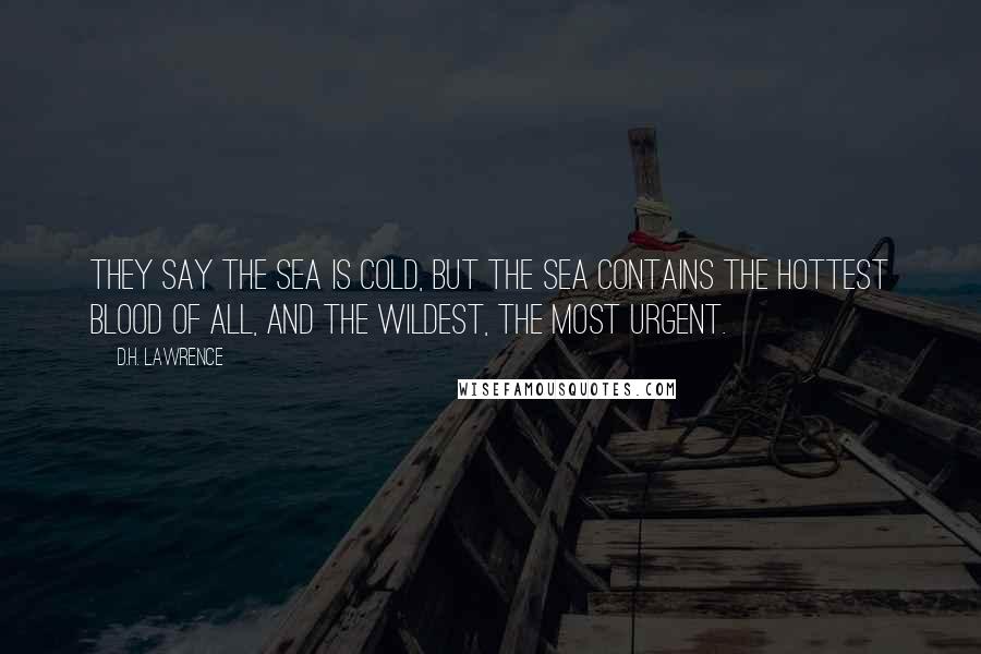 D.H. Lawrence Quotes: They say the sea is cold, but the sea contains the hottest blood of all, and the wildest, the most urgent.