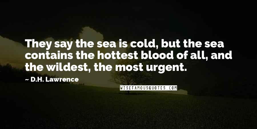 D.H. Lawrence Quotes: They say the sea is cold, but the sea contains the hottest blood of all, and the wildest, the most urgent.