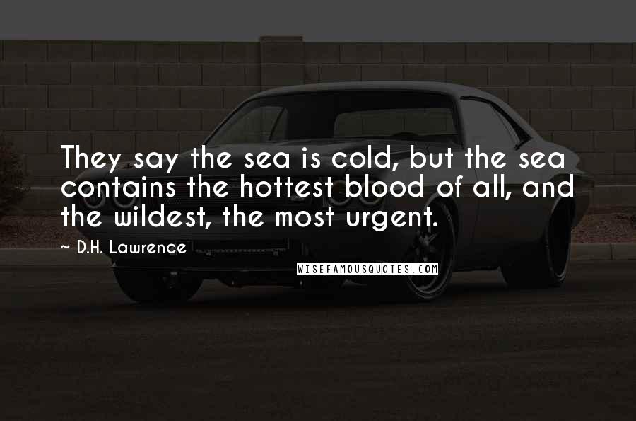 D.H. Lawrence Quotes: They say the sea is cold, but the sea contains the hottest blood of all, and the wildest, the most urgent.