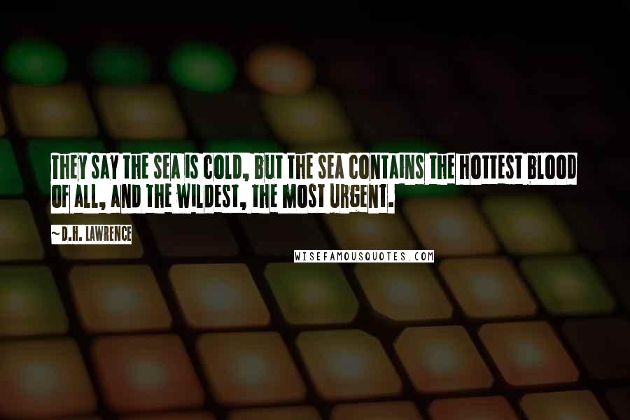 D.H. Lawrence Quotes: They say the sea is cold, but the sea contains the hottest blood of all, and the wildest, the most urgent.
