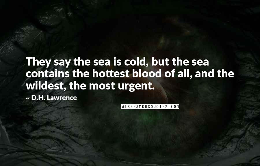 D.H. Lawrence Quotes: They say the sea is cold, but the sea contains the hottest blood of all, and the wildest, the most urgent.