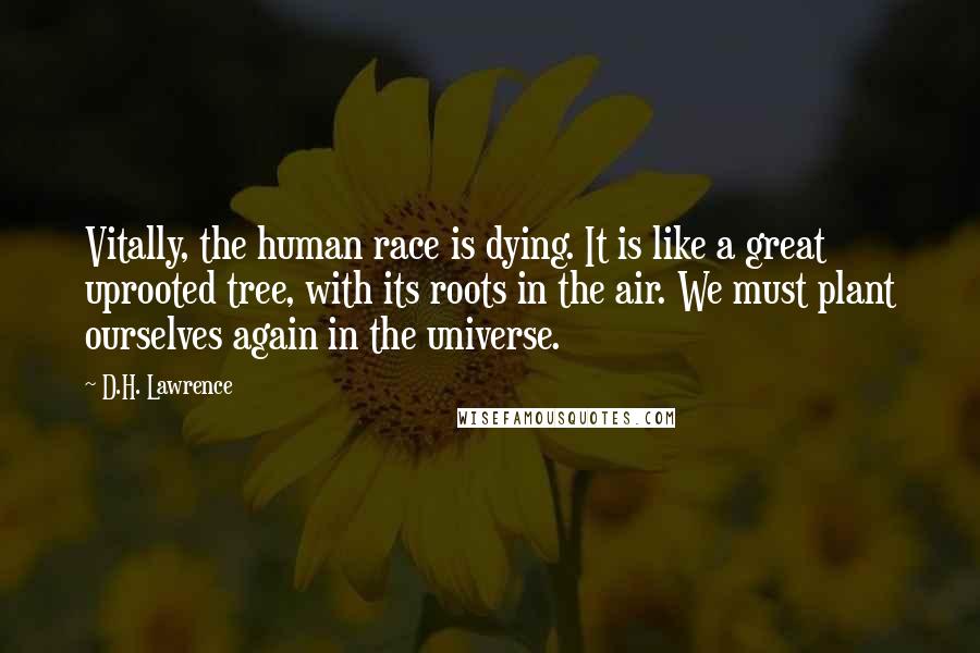 D.H. Lawrence Quotes: Vitally, the human race is dying. It is like a great uprooted tree, with its roots in the air. We must plant ourselves again in the universe.