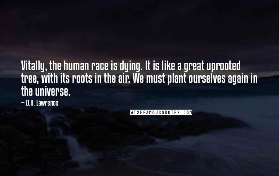 D.H. Lawrence Quotes: Vitally, the human race is dying. It is like a great uprooted tree, with its roots in the air. We must plant ourselves again in the universe.