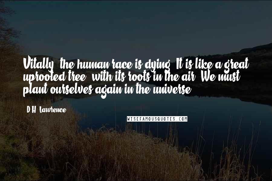 D.H. Lawrence Quotes: Vitally, the human race is dying. It is like a great uprooted tree, with its roots in the air. We must plant ourselves again in the universe.