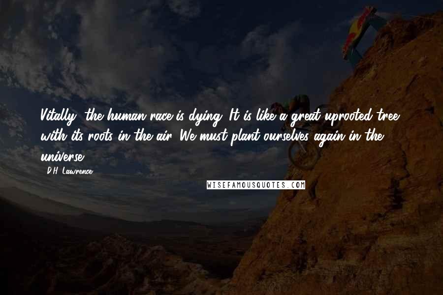 D.H. Lawrence Quotes: Vitally, the human race is dying. It is like a great uprooted tree, with its roots in the air. We must plant ourselves again in the universe.