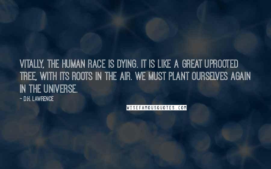 D.H. Lawrence Quotes: Vitally, the human race is dying. It is like a great uprooted tree, with its roots in the air. We must plant ourselves again in the universe.