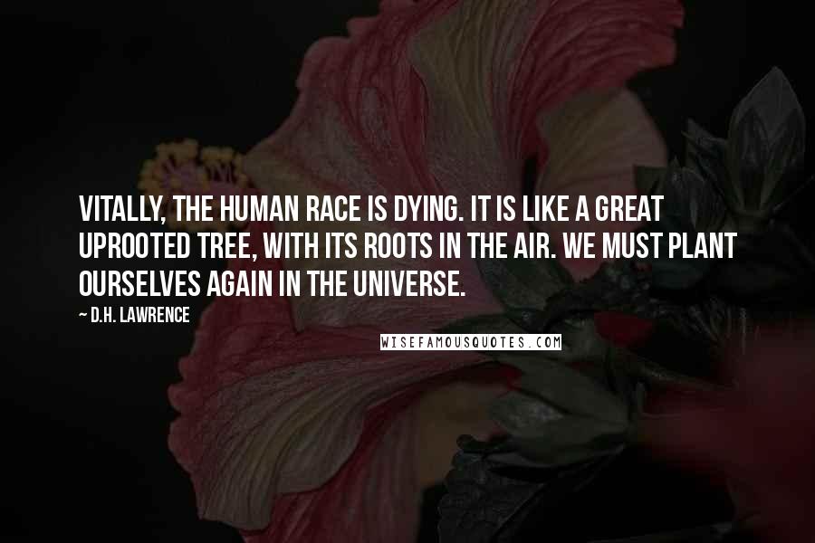 D.H. Lawrence Quotes: Vitally, the human race is dying. It is like a great uprooted tree, with its roots in the air. We must plant ourselves again in the universe.