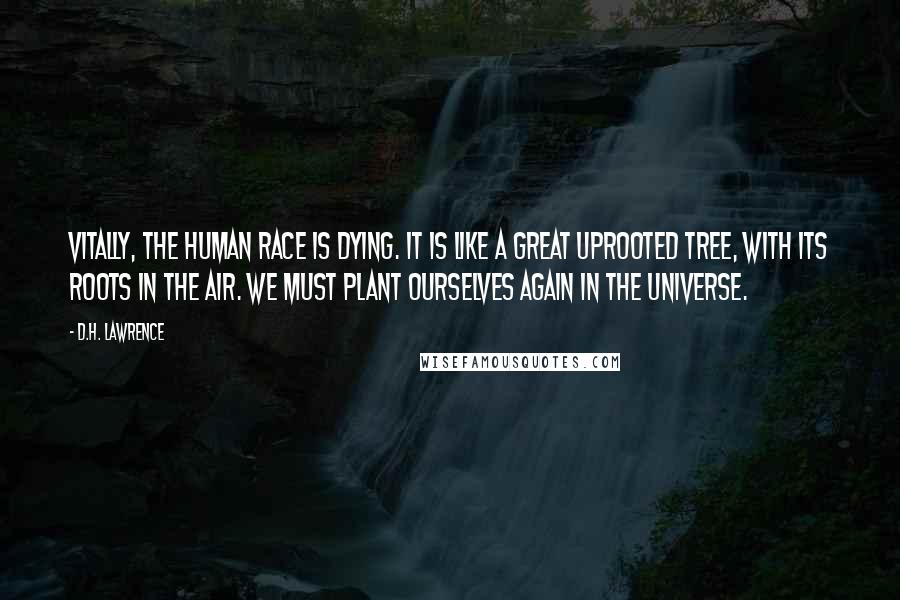 D.H. Lawrence Quotes: Vitally, the human race is dying. It is like a great uprooted tree, with its roots in the air. We must plant ourselves again in the universe.