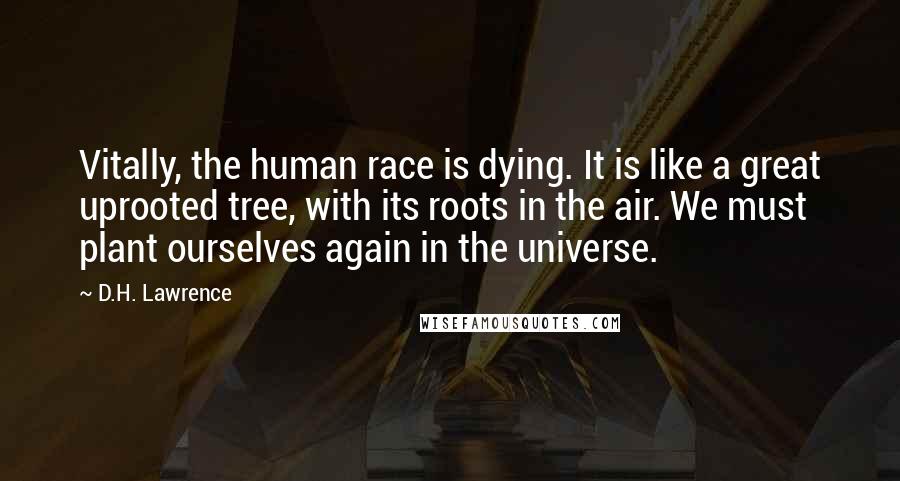 D.H. Lawrence Quotes: Vitally, the human race is dying. It is like a great uprooted tree, with its roots in the air. We must plant ourselves again in the universe.