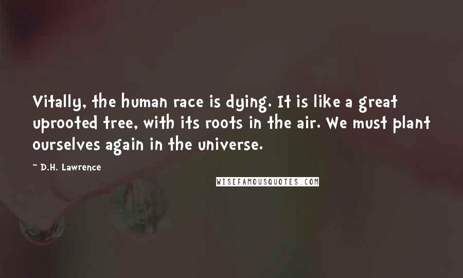 D.H. Lawrence Quotes: Vitally, the human race is dying. It is like a great uprooted tree, with its roots in the air. We must plant ourselves again in the universe.