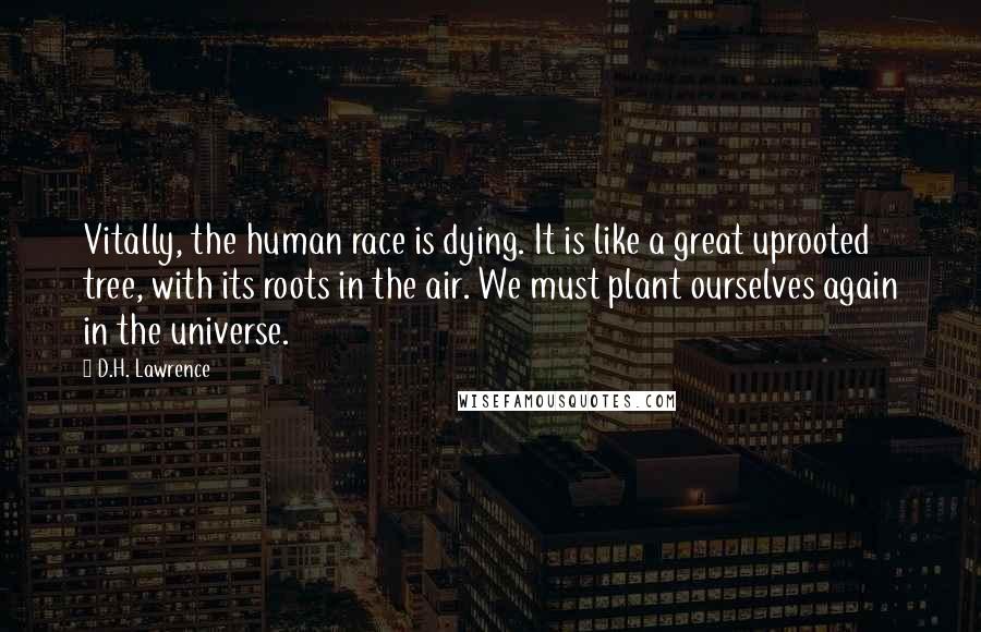 D.H. Lawrence Quotes: Vitally, the human race is dying. It is like a great uprooted tree, with its roots in the air. We must plant ourselves again in the universe.