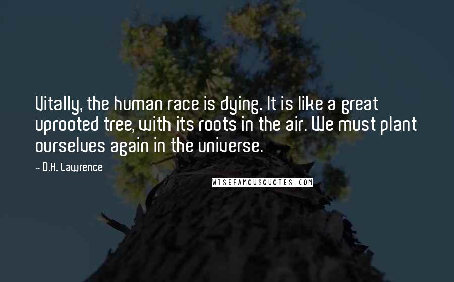 D.H. Lawrence Quotes: Vitally, the human race is dying. It is like a great uprooted tree, with its roots in the air. We must plant ourselves again in the universe.