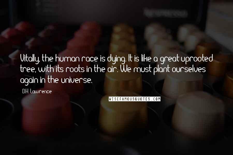 D.H. Lawrence Quotes: Vitally, the human race is dying. It is like a great uprooted tree, with its roots in the air. We must plant ourselves again in the universe.