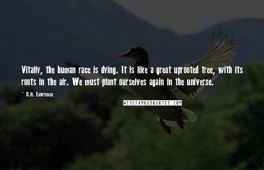 D.H. Lawrence Quotes: Vitally, the human race is dying. It is like a great uprooted tree, with its roots in the air. We must plant ourselves again in the universe.