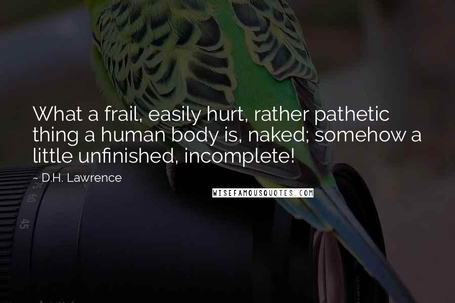 D.H. Lawrence Quotes: What a frail, easily hurt, rather pathetic thing a human body is, naked; somehow a little unfinished, incomplete!