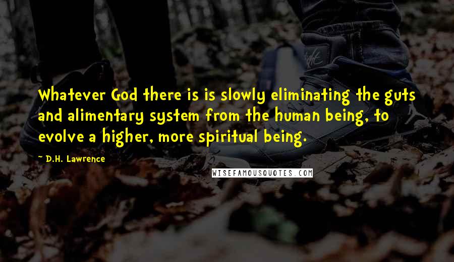 D.H. Lawrence Quotes: Whatever God there is is slowly eliminating the guts and alimentary system from the human being, to evolve a higher, more spiritual being.