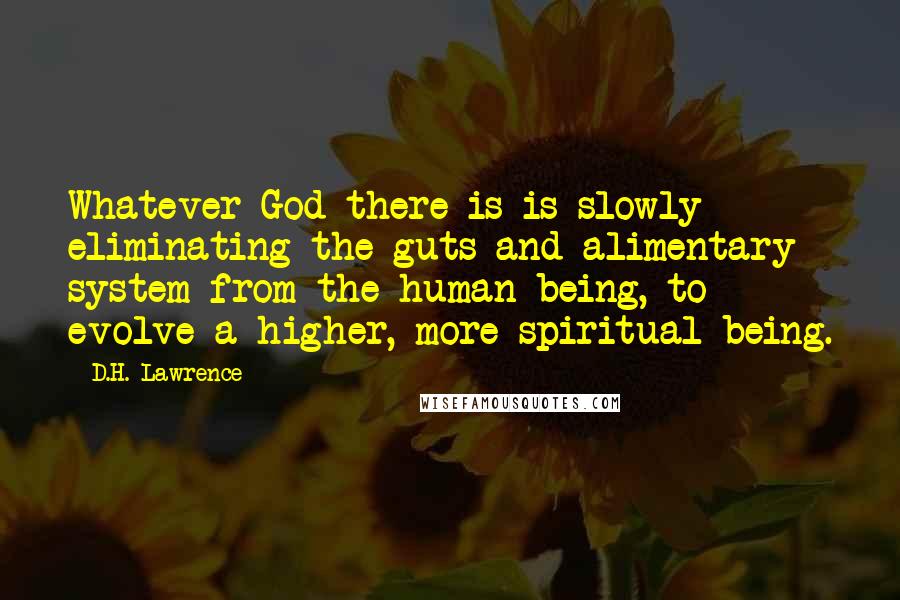 D.H. Lawrence Quotes: Whatever God there is is slowly eliminating the guts and alimentary system from the human being, to evolve a higher, more spiritual being.