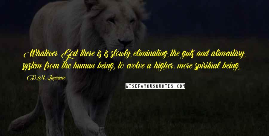 D.H. Lawrence Quotes: Whatever God there is is slowly eliminating the guts and alimentary system from the human being, to evolve a higher, more spiritual being.