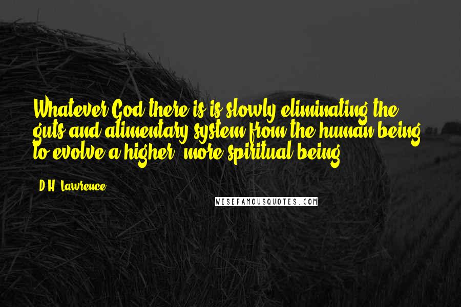D.H. Lawrence Quotes: Whatever God there is is slowly eliminating the guts and alimentary system from the human being, to evolve a higher, more spiritual being.