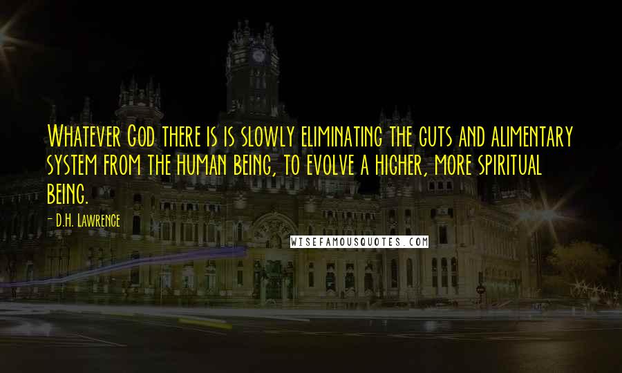 D.H. Lawrence Quotes: Whatever God there is is slowly eliminating the guts and alimentary system from the human being, to evolve a higher, more spiritual being.