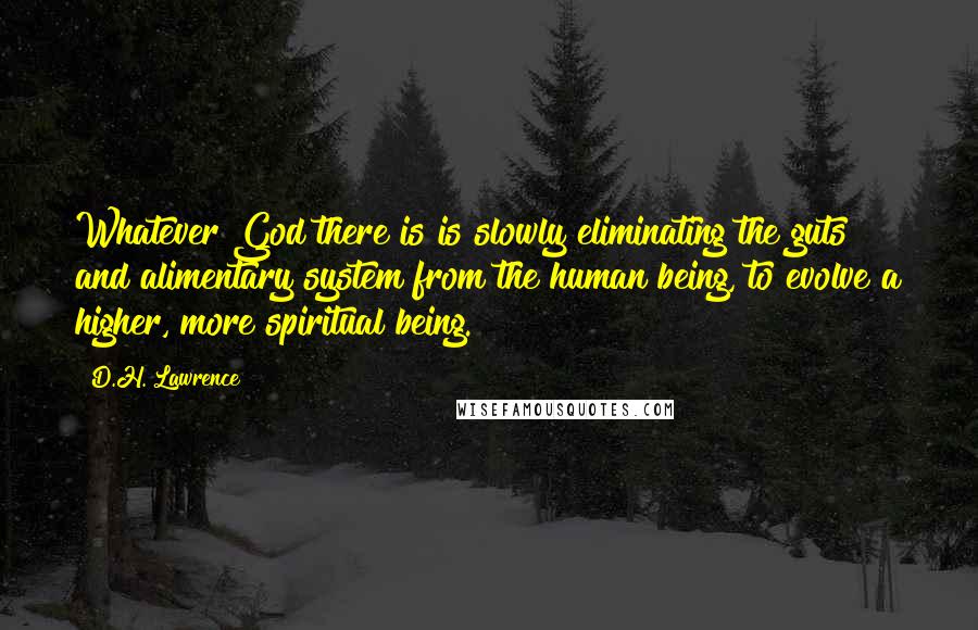 D.H. Lawrence Quotes: Whatever God there is is slowly eliminating the guts and alimentary system from the human being, to evolve a higher, more spiritual being.