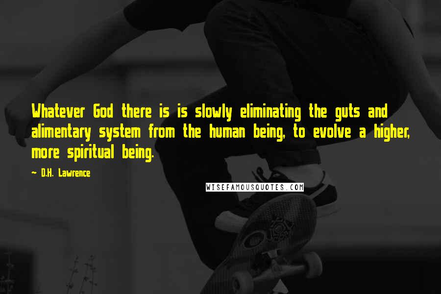 D.H. Lawrence Quotes: Whatever God there is is slowly eliminating the guts and alimentary system from the human being, to evolve a higher, more spiritual being.