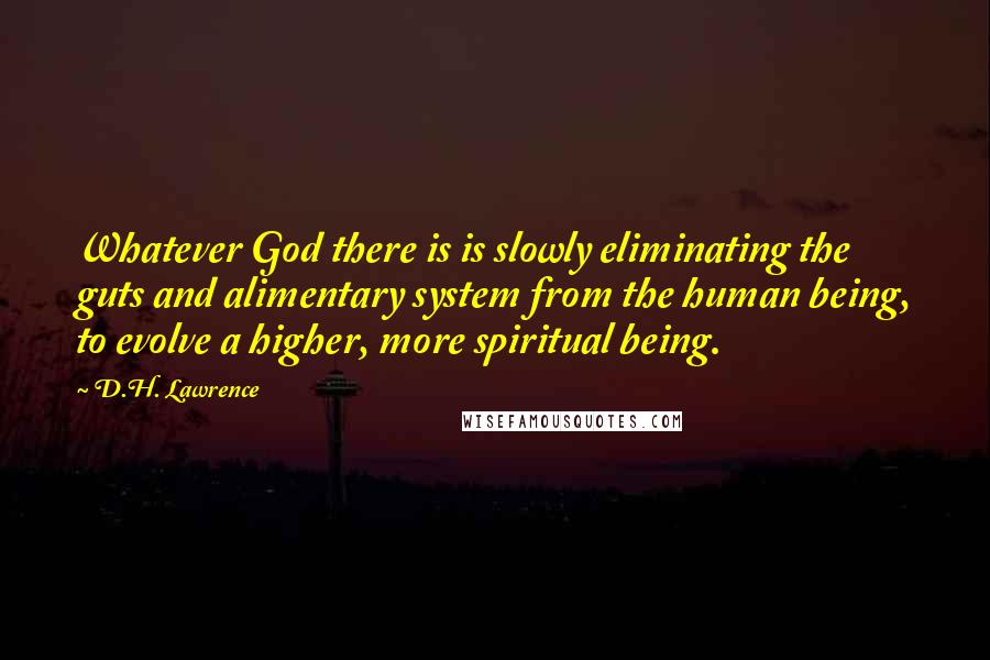D.H. Lawrence Quotes: Whatever God there is is slowly eliminating the guts and alimentary system from the human being, to evolve a higher, more spiritual being.