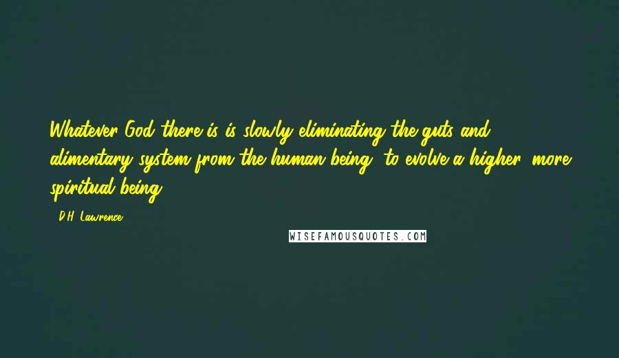 D.H. Lawrence Quotes: Whatever God there is is slowly eliminating the guts and alimentary system from the human being, to evolve a higher, more spiritual being.