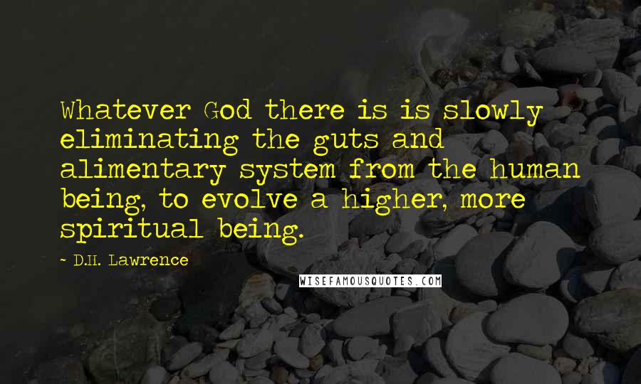 D.H. Lawrence Quotes: Whatever God there is is slowly eliminating the guts and alimentary system from the human being, to evolve a higher, more spiritual being.