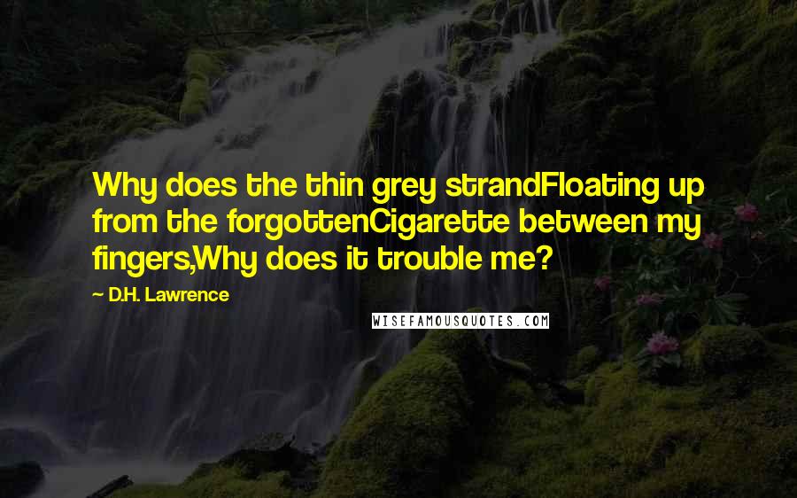 D.H. Lawrence Quotes: Why does the thin grey strandFloating up from the forgottenCigarette between my fingers,Why does it trouble me?