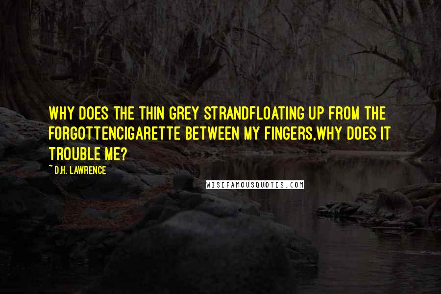 D.H. Lawrence Quotes: Why does the thin grey strandFloating up from the forgottenCigarette between my fingers,Why does it trouble me?