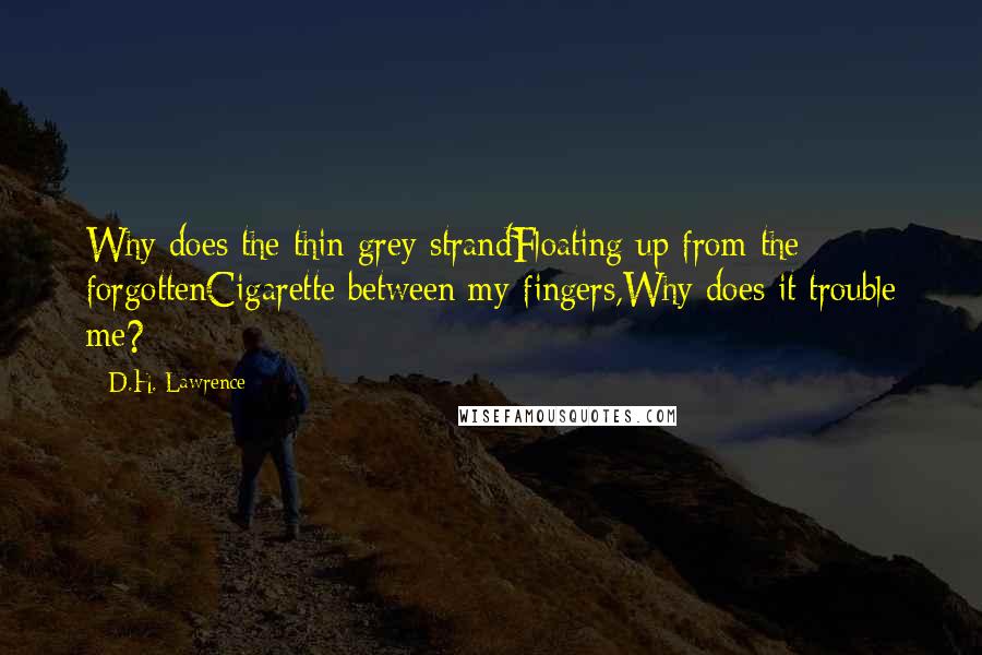 D.H. Lawrence Quotes: Why does the thin grey strandFloating up from the forgottenCigarette between my fingers,Why does it trouble me?