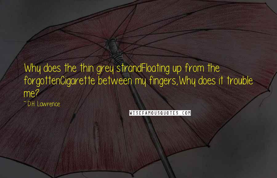 D.H. Lawrence Quotes: Why does the thin grey strandFloating up from the forgottenCigarette between my fingers,Why does it trouble me?