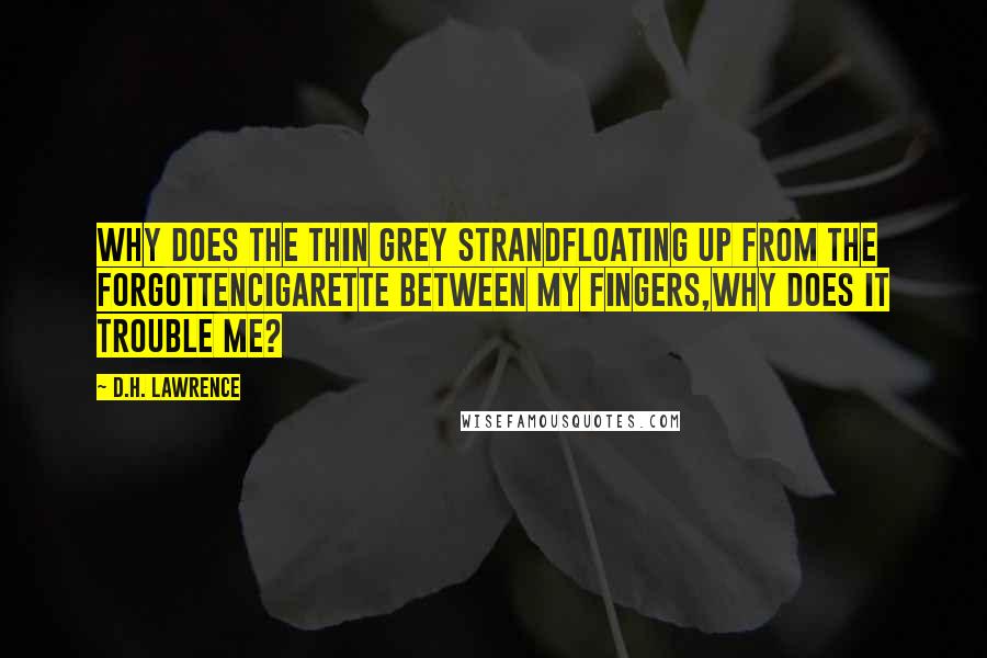 D.H. Lawrence Quotes: Why does the thin grey strandFloating up from the forgottenCigarette between my fingers,Why does it trouble me?