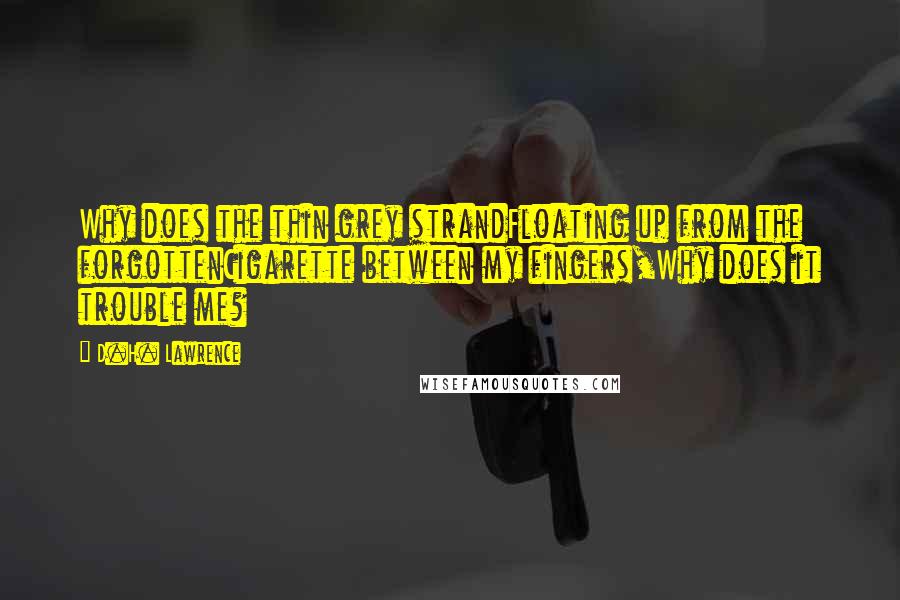 D.H. Lawrence Quotes: Why does the thin grey strandFloating up from the forgottenCigarette between my fingers,Why does it trouble me?