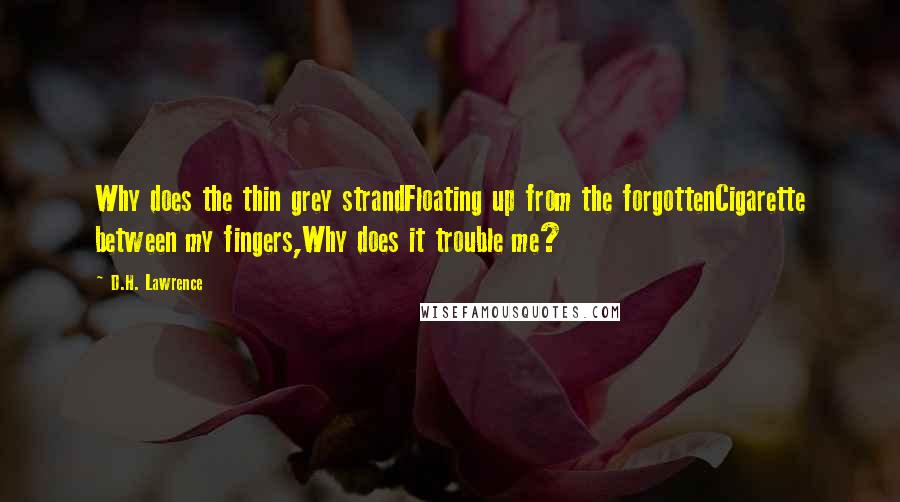 D.H. Lawrence Quotes: Why does the thin grey strandFloating up from the forgottenCigarette between my fingers,Why does it trouble me?