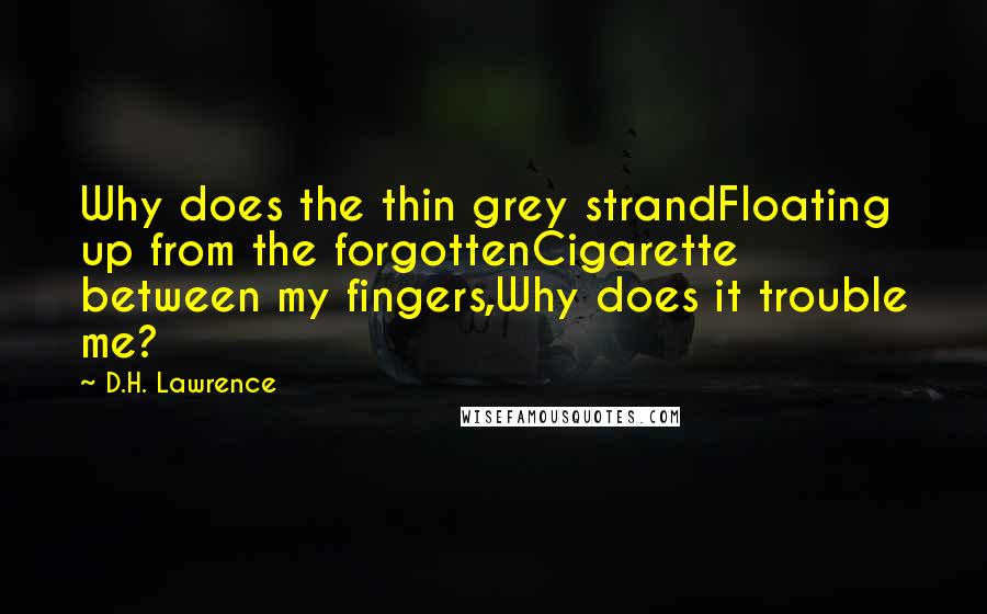 D.H. Lawrence Quotes: Why does the thin grey strandFloating up from the forgottenCigarette between my fingers,Why does it trouble me?
