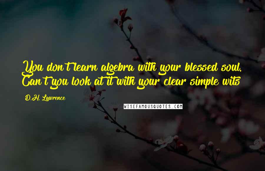 D.H. Lawrence Quotes: You don't learn algebra with your blessed soul. Can't you look at it with your clear simple wits?