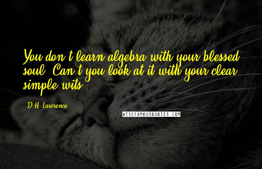 D.H. Lawrence Quotes: You don't learn algebra with your blessed soul. Can't you look at it with your clear simple wits?