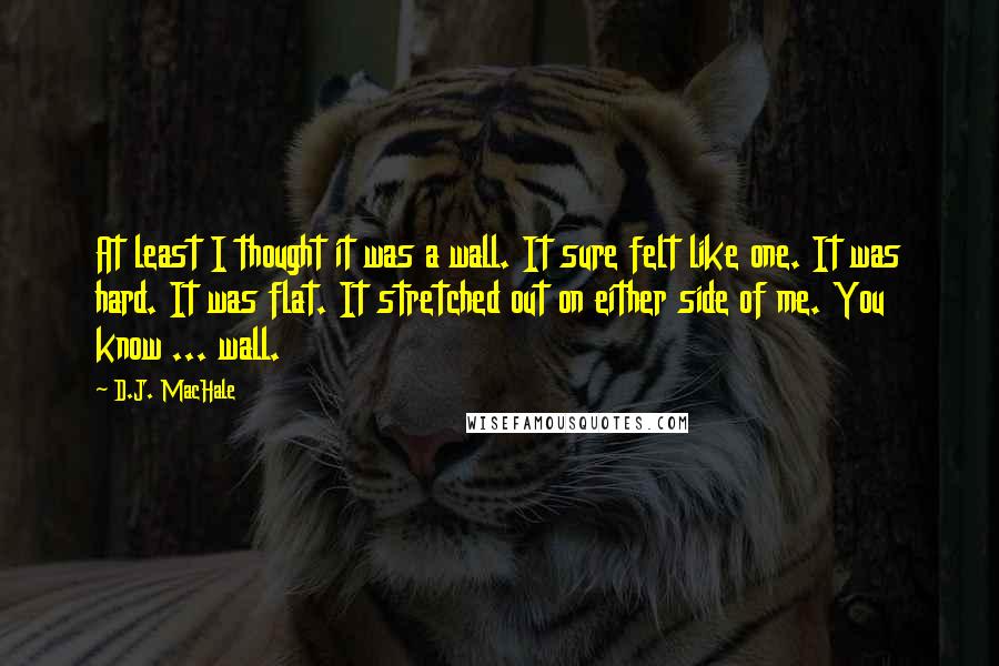 D.J. MacHale Quotes: At least I thought it was a wall. It sure felt like one. It was hard. It was flat. It stretched out on either side of me. You know ... wall.