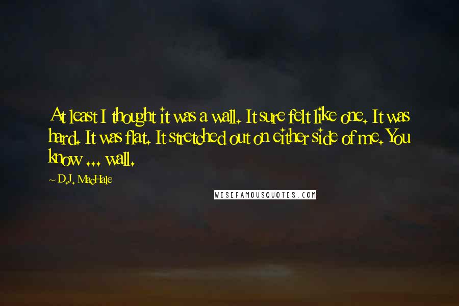 D.J. MacHale Quotes: At least I thought it was a wall. It sure felt like one. It was hard. It was flat. It stretched out on either side of me. You know ... wall.