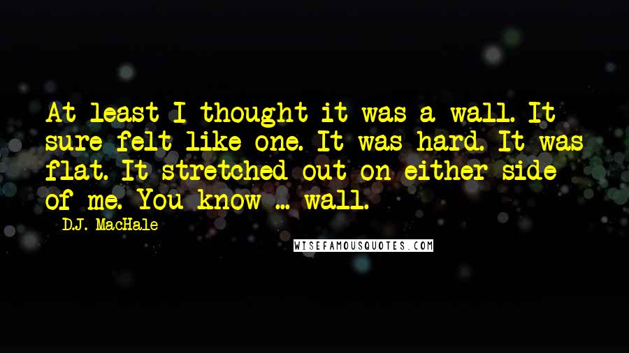 D.J. MacHale Quotes: At least I thought it was a wall. It sure felt like one. It was hard. It was flat. It stretched out on either side of me. You know ... wall.