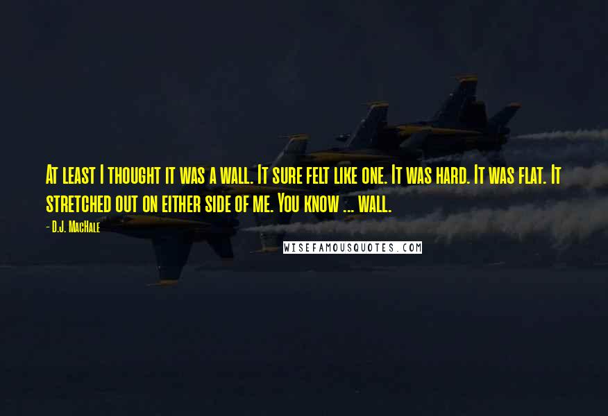 D.J. MacHale Quotes: At least I thought it was a wall. It sure felt like one. It was hard. It was flat. It stretched out on either side of me. You know ... wall.