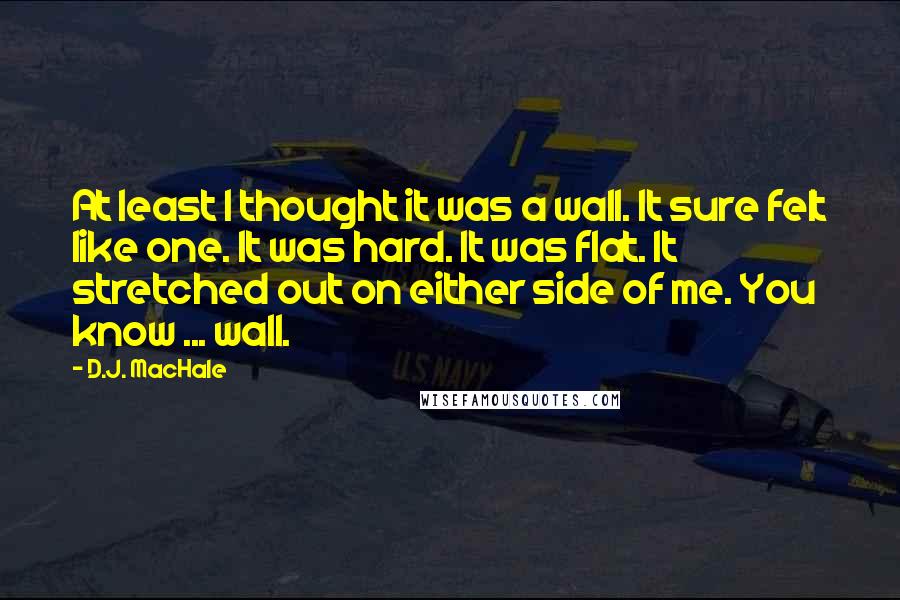 D.J. MacHale Quotes: At least I thought it was a wall. It sure felt like one. It was hard. It was flat. It stretched out on either side of me. You know ... wall.