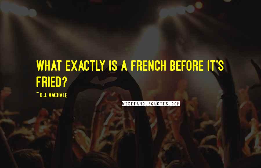 D.J. MacHale Quotes: What exactly is a french before it's fried?