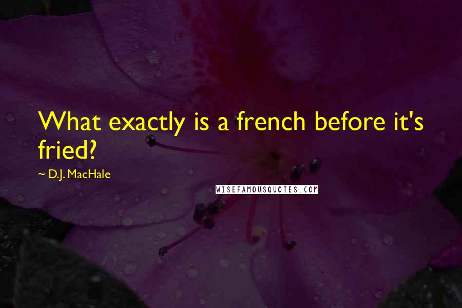 D.J. MacHale Quotes: What exactly is a french before it's fried?